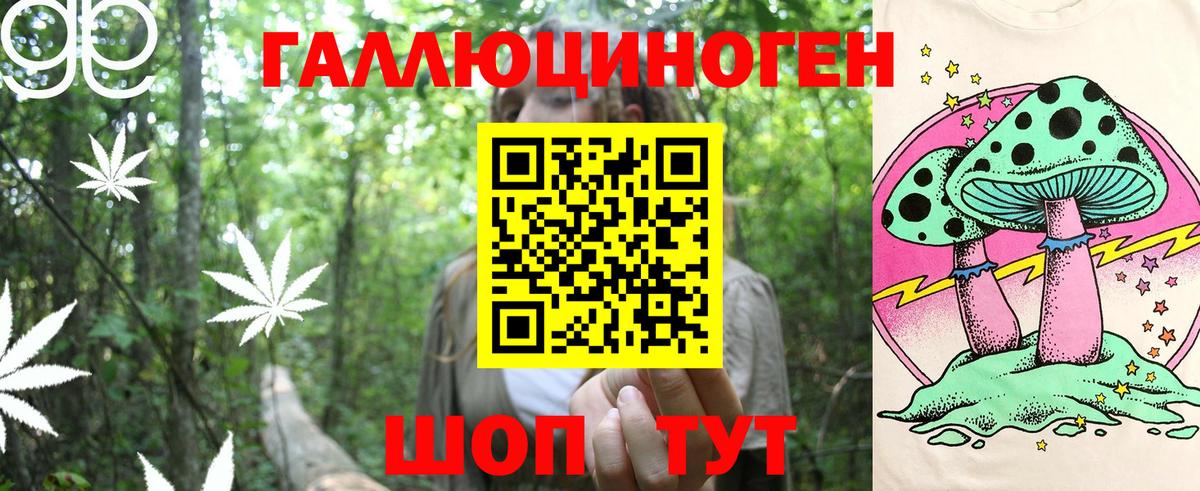 Усть-Кут  Галлюциногенные грибы MAGIC MUSHROOMS  Вход с VPN 